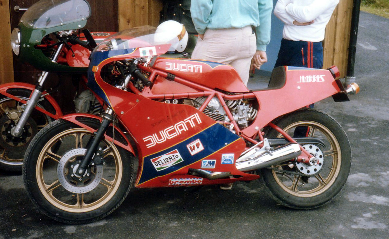 Tjörn