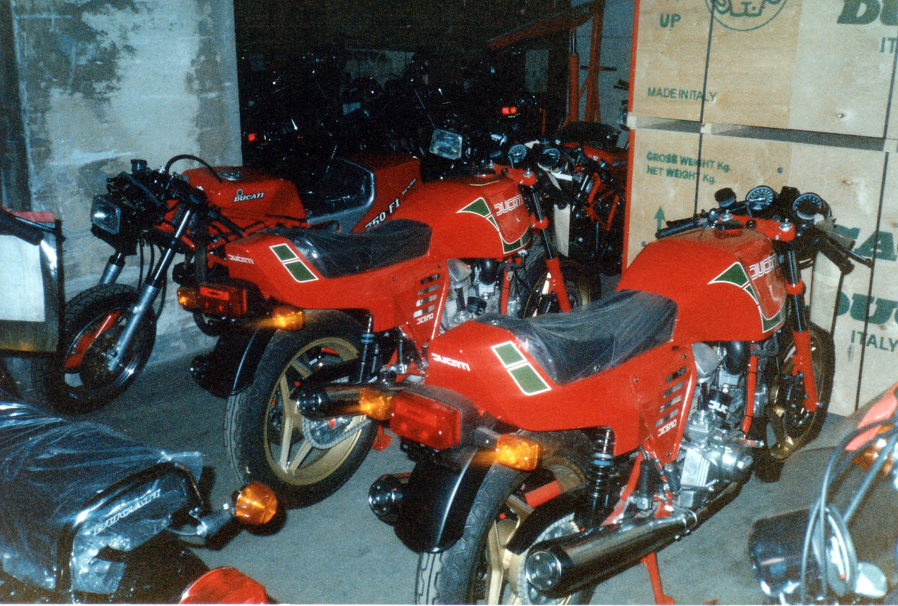 Bologna 1986